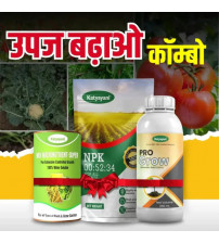 Katyayani Upaj Badao Combo Pack